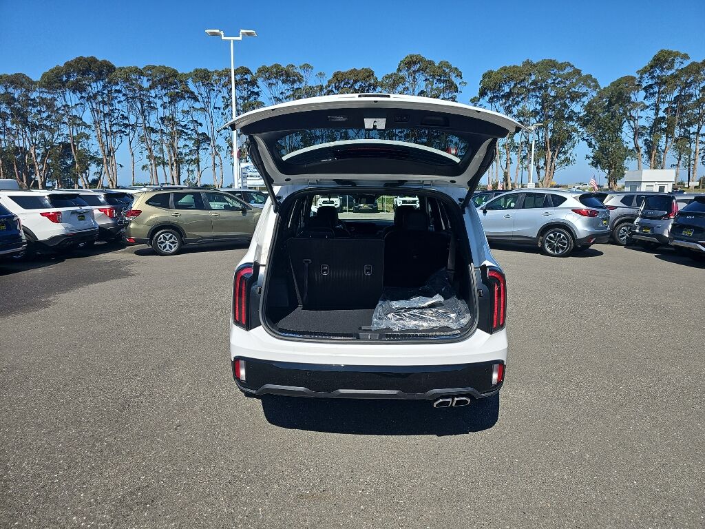 2025 Kia Telluride SX Prestige X-Line Eureka CA