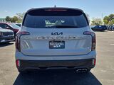 2025 Kia Telluride SX-Prestige X-Line Oshkosh WI