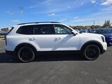 2025 Kia Telluride SX-Prestige X-Line Oshkosh WI