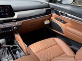 2025 Kia Telluride SX-Prestige X-Line Oshkosh WI