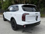 2025 Kia Telluride SX-Prestige X-Line Oshkosh WI