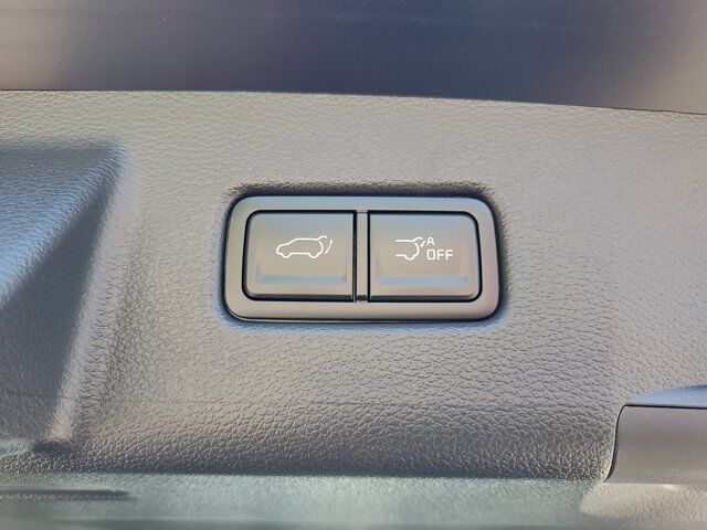 2025 Kia Telluride SX-Prestige X-Line St. Augustine FL