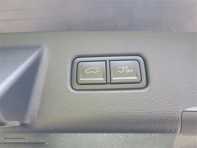 2025 Kia Telluride SX-Prestige X-Line St. Augustine FL