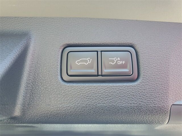 2025 Kia Telluride SX-Prestige X-Line St. Augustine FL