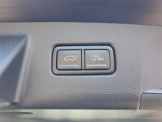 2025 Kia Telluride SX-Prestige X-Line St. Augustine FL