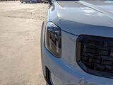 2025 Kia Telluride SX-Prestige X-Pro Oshkosh WI