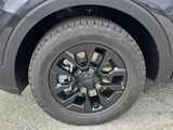 2025 Kia Telluride SX-Prestige X-Pro Oshkosh WI