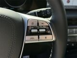 2025 Kia Telluride SX-Prestige X-Pro Oshkosh WI