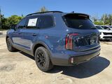 2025 Kia Telluride SX-Prestige X-Pro Oshkosh WI 2025 Kia Telluride SX-Prestige X-Pro Oshkosh WI