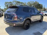 2025 Kia Telluride SX-Prestige X-Pro Oshkosh WI 2025 Kia Telluride SX-Prestige X-Pro Oshkosh WI