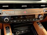 2025 Kia Telluride SX-Prestige X-Pro Oshkosh WI