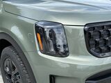 2025 Kia Telluride SX-Prestige X-Pro Oshkosh WI