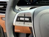 2025 Kia Telluride SX-Prestige X-Pro Oshkosh WI