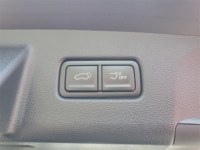 2025 Kia Telluride SX St. Augustine FL