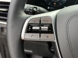 2025 Kia Telluride SX X-Line Oshkosh WI