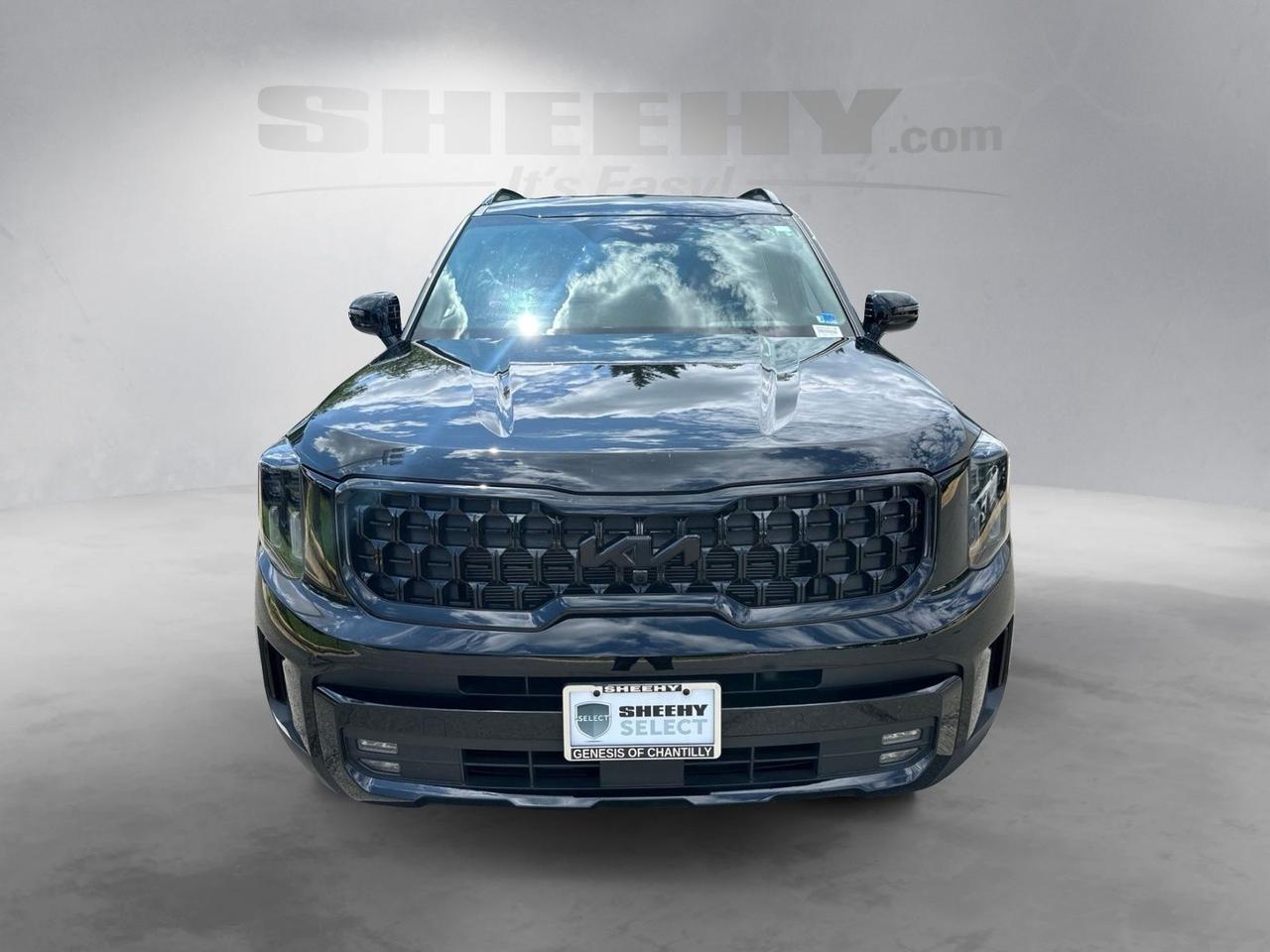 2025 Kia Telluride SX X-Line Chantilly VA