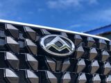 2025 LDV TERRON 9  Vaitele Tuamasaga