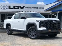 2025 LDV TERRON 9 