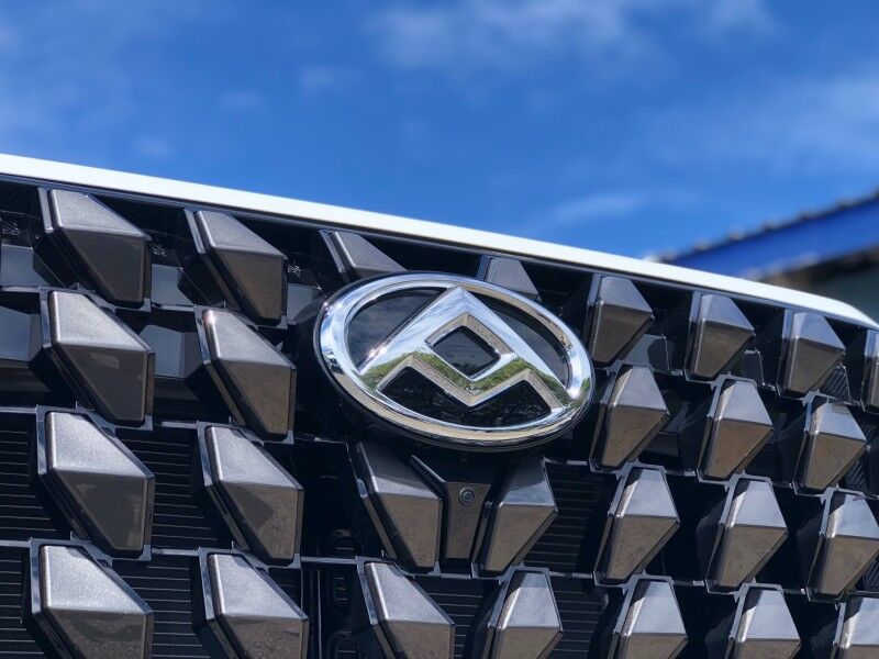 2025 LDV TERRON 9 (2.5L Turbo Diesel) Vaitele