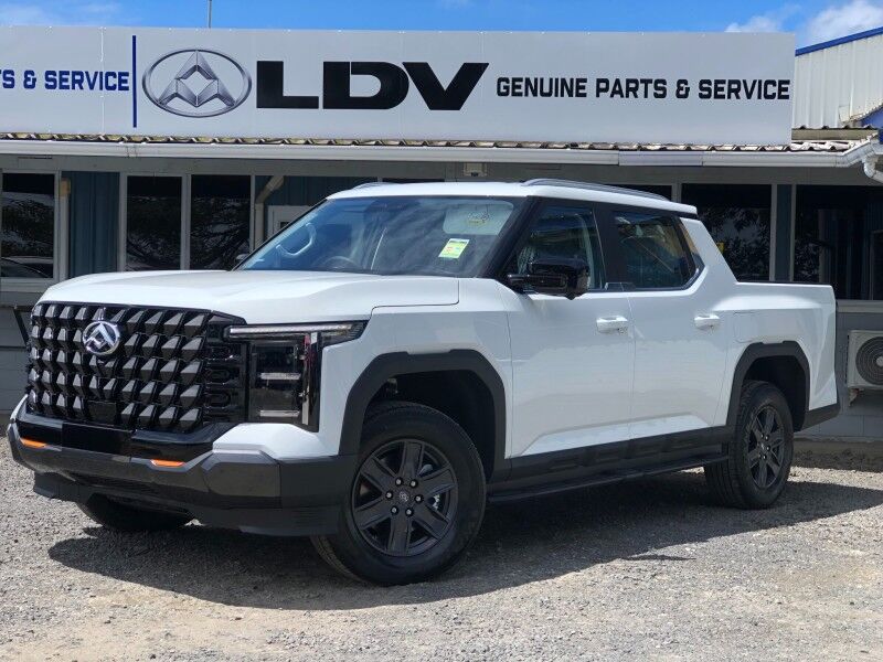 2025 LDV TERRON 9
