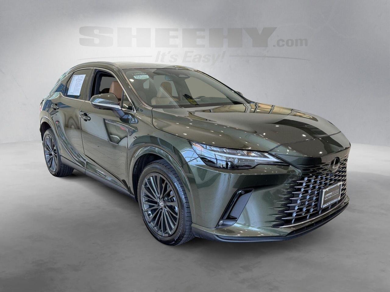2025 LEXUS RX