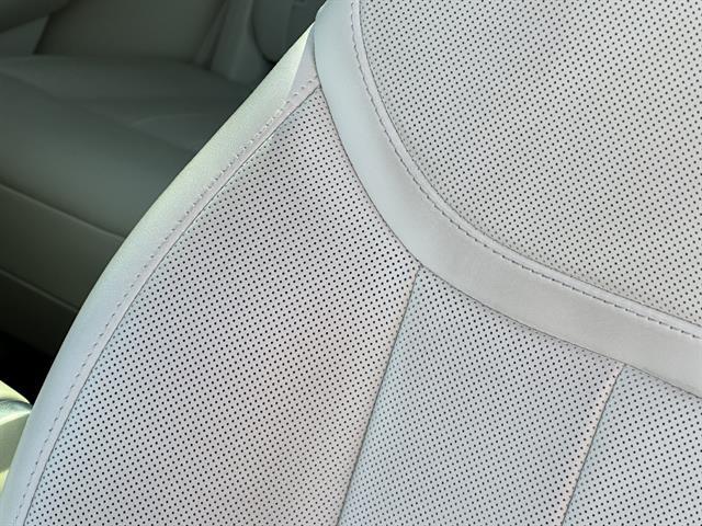 2025 Land Rover Range Rover SE Tucson AZ