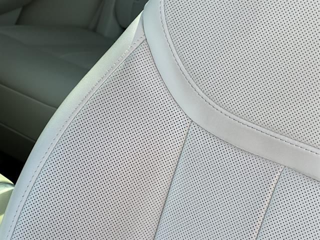 2025 Land Rover Range Rover SE Tucson AZ