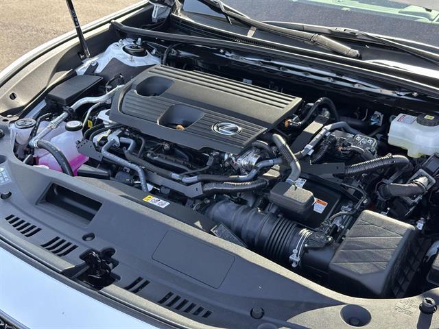 2025 Lexus ES 300h F SPORT DESIGN Tucson AZ