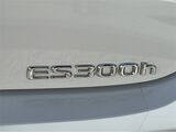 2025 Lexus ES 300h San Diego County CA