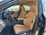2025 Lexus ES 300h San Diego County CA