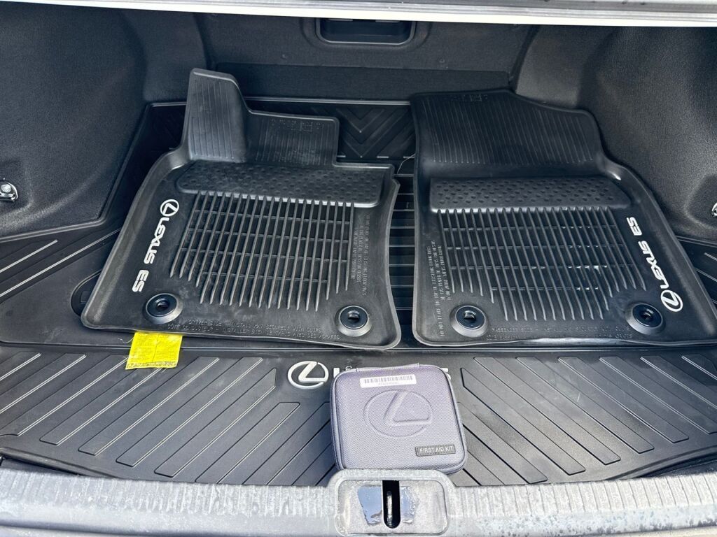 2025 Lexus ES 300h Richmond VA
