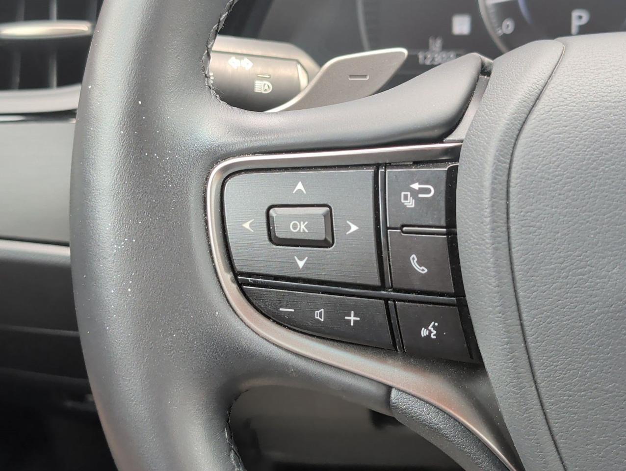 2025 Lexus ES 350 San Juan TX
