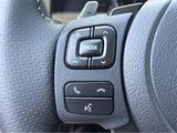 2025 Lexus IS 350 F SPORT San Diego County CA