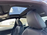 2025 Lexus IS 350 F SPORT San Diego County CA