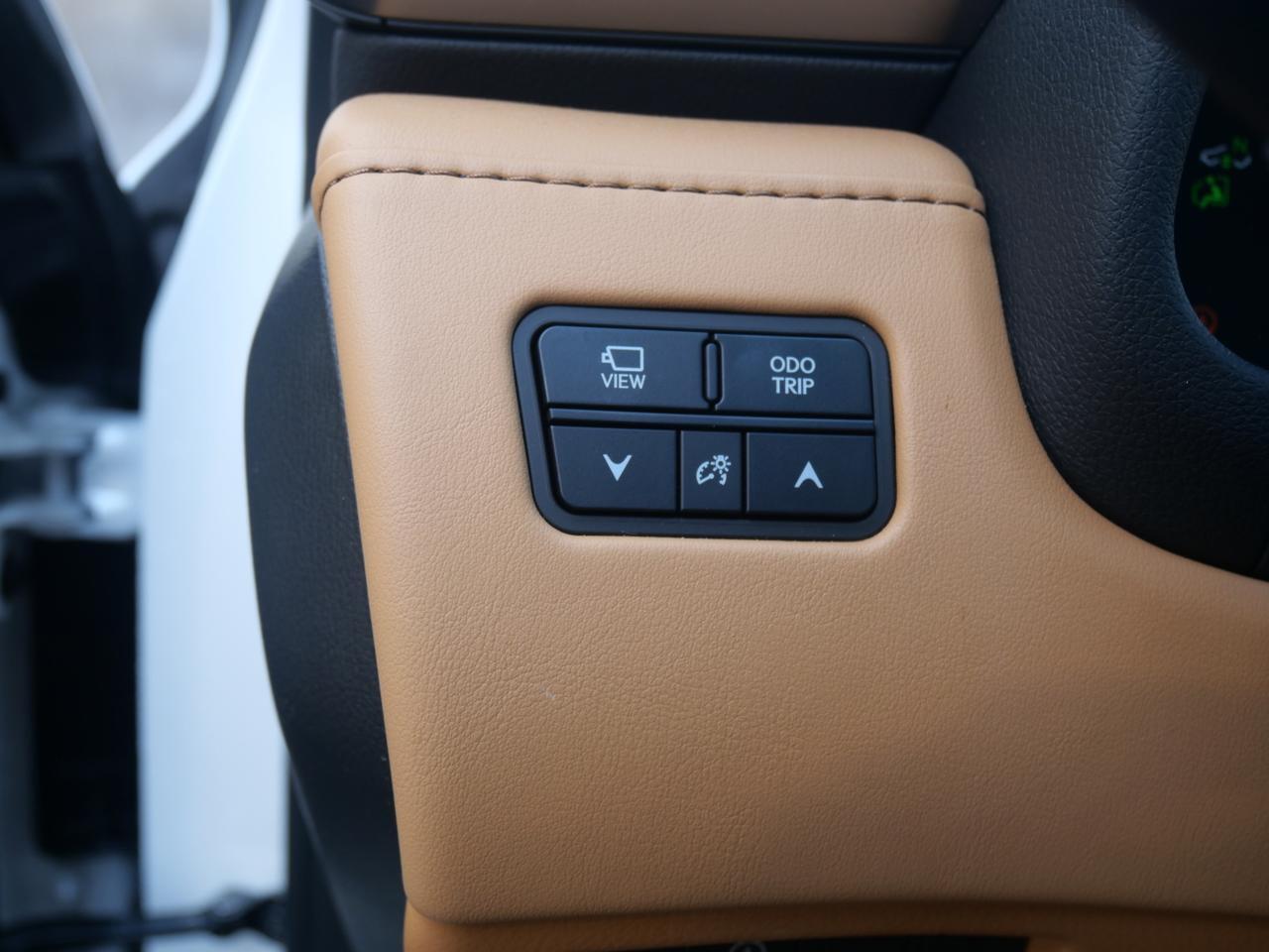 2025 Lexus LX 600 Luxury San Juan TX