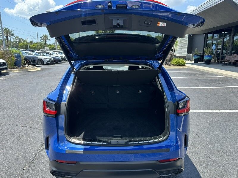 2025 Lexus NX 250 Jacksonville FL