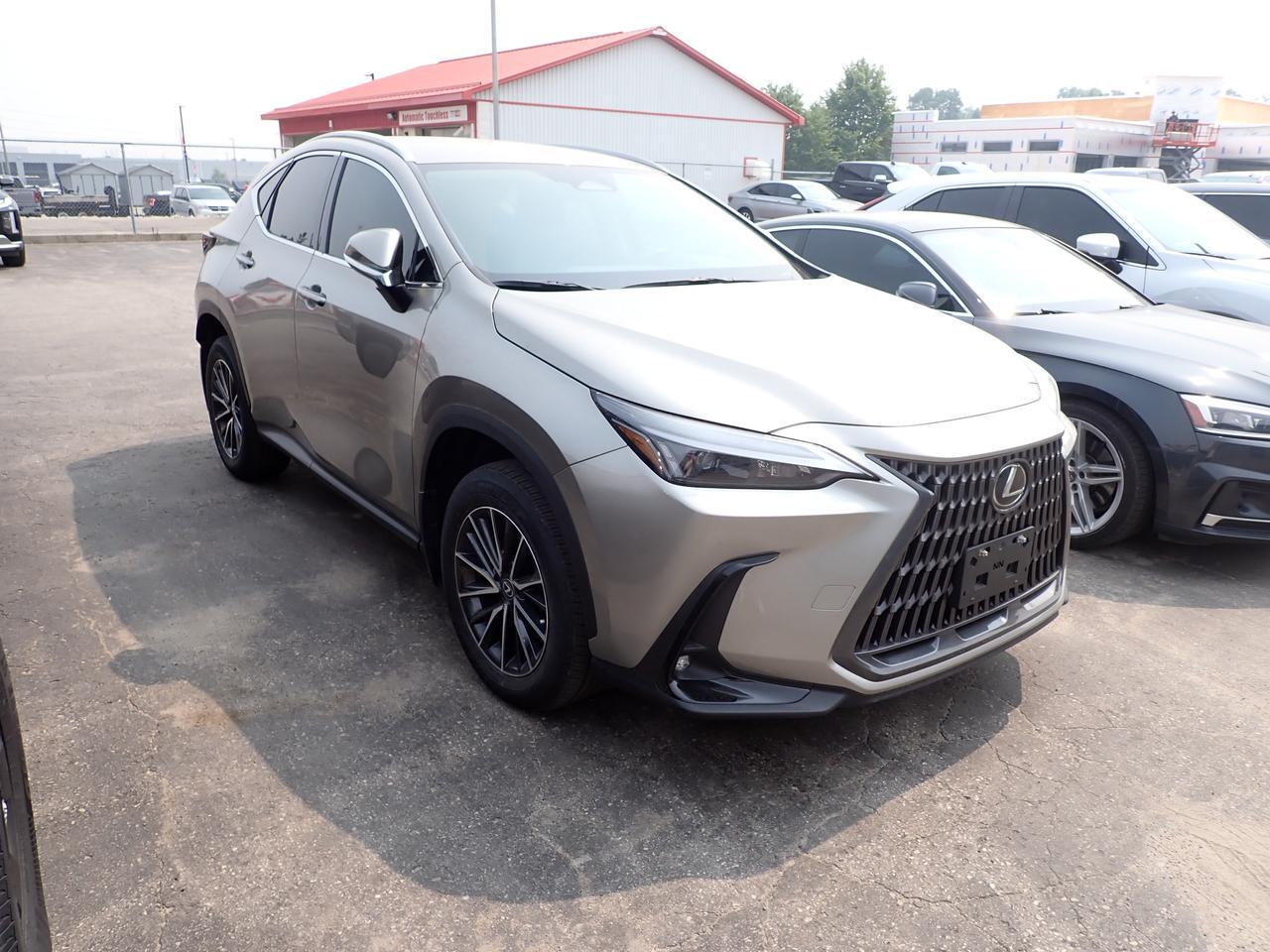 2025 Lexus NX 250