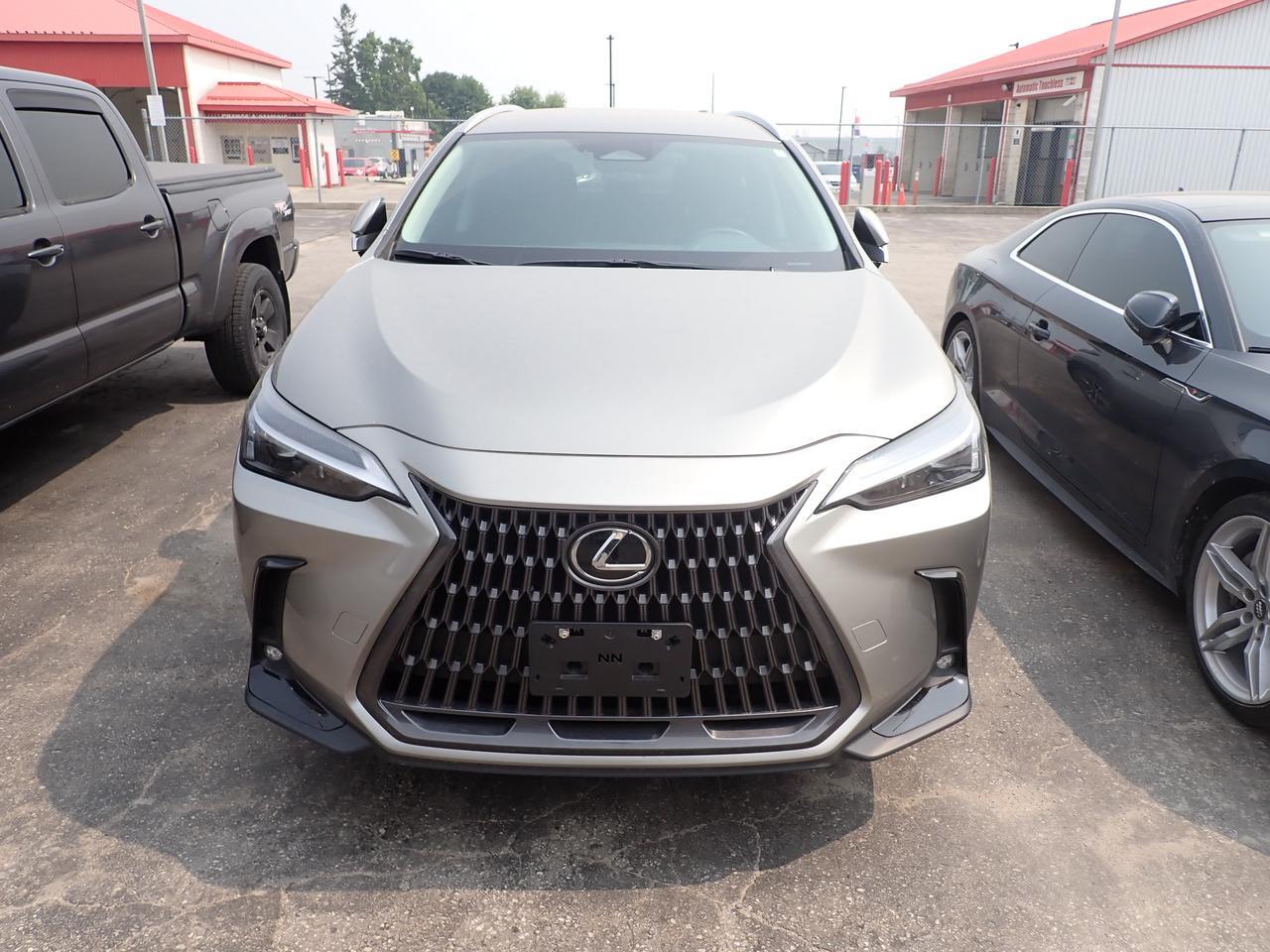 2025 Lexus NX 250 Listowel ON