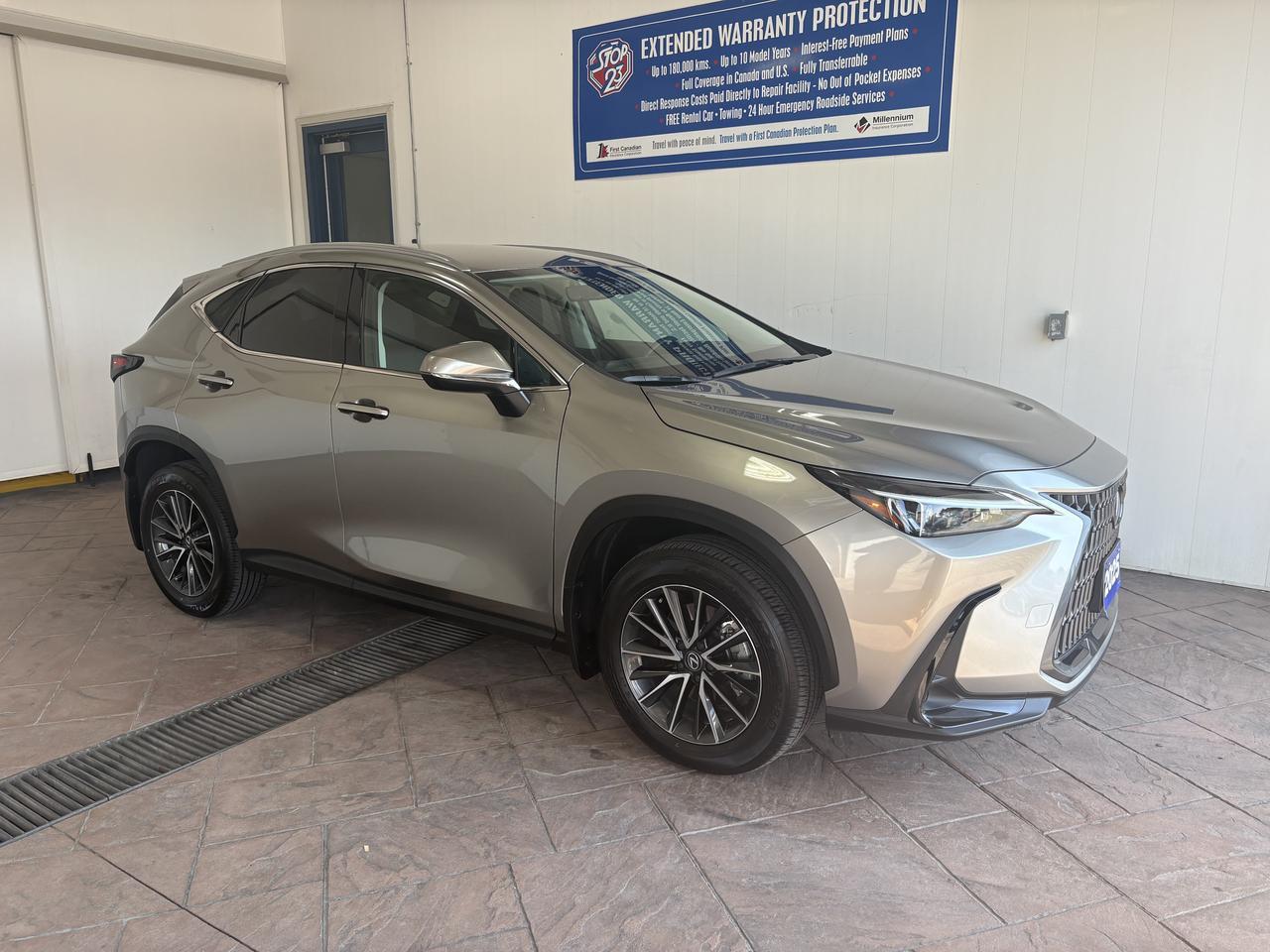 2025 Lexus NX 250