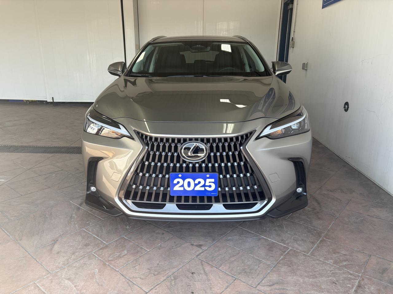 2025 Lexus NX 250 Listowel ON