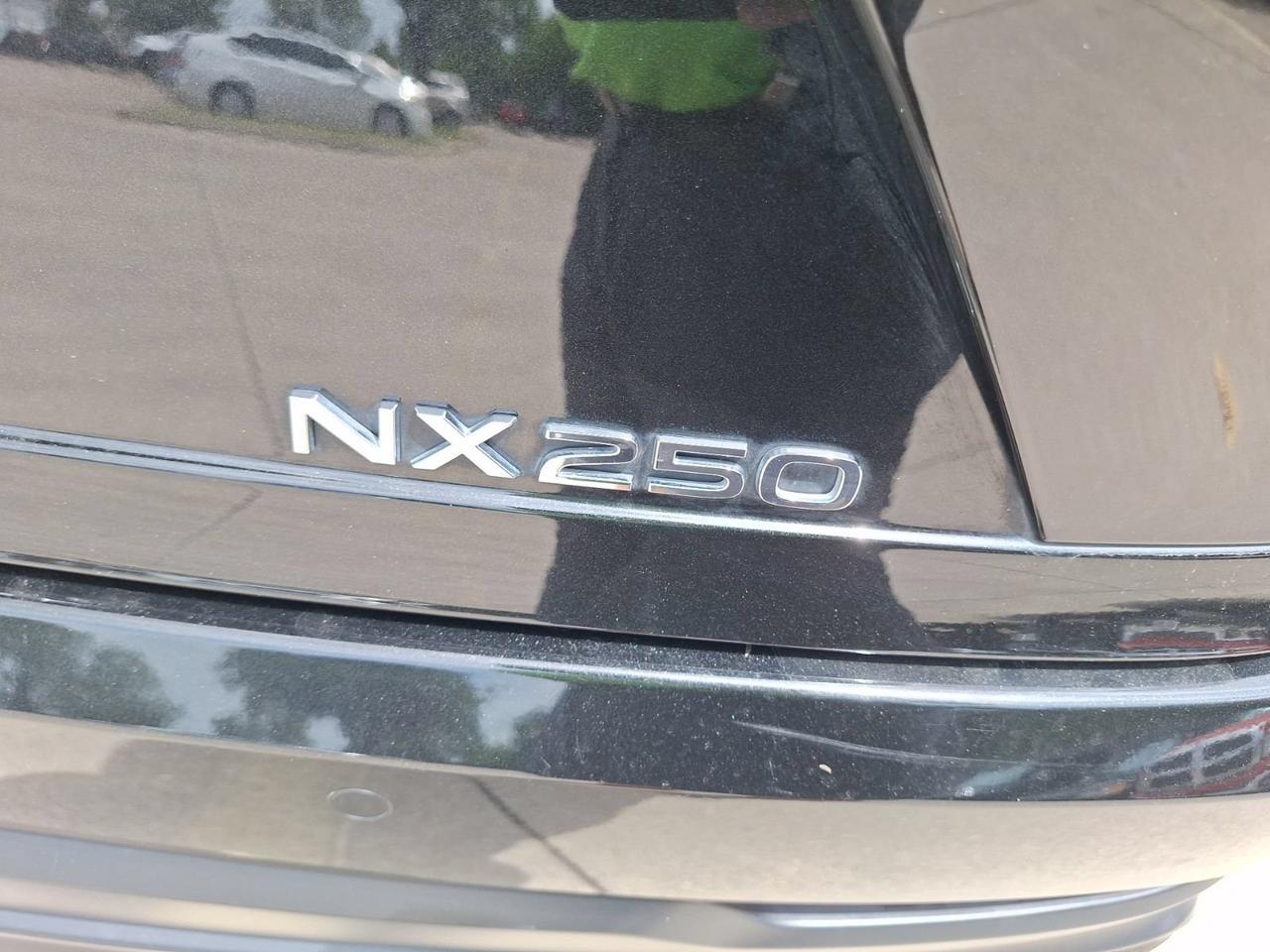 2025 Lexus NX 250 Premium Hurst TX