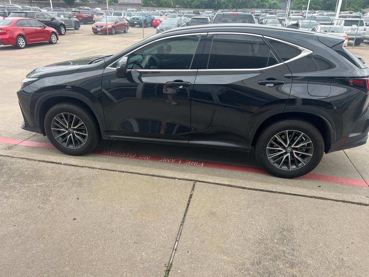 2025 Lexus NX 250 Premium Hurst TX