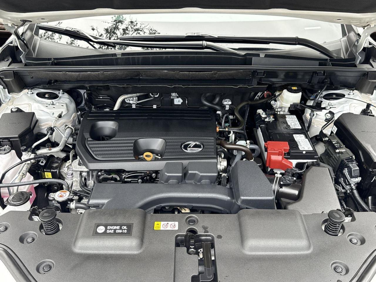 2025 Lexus NX 250 Premium San Antonio TX