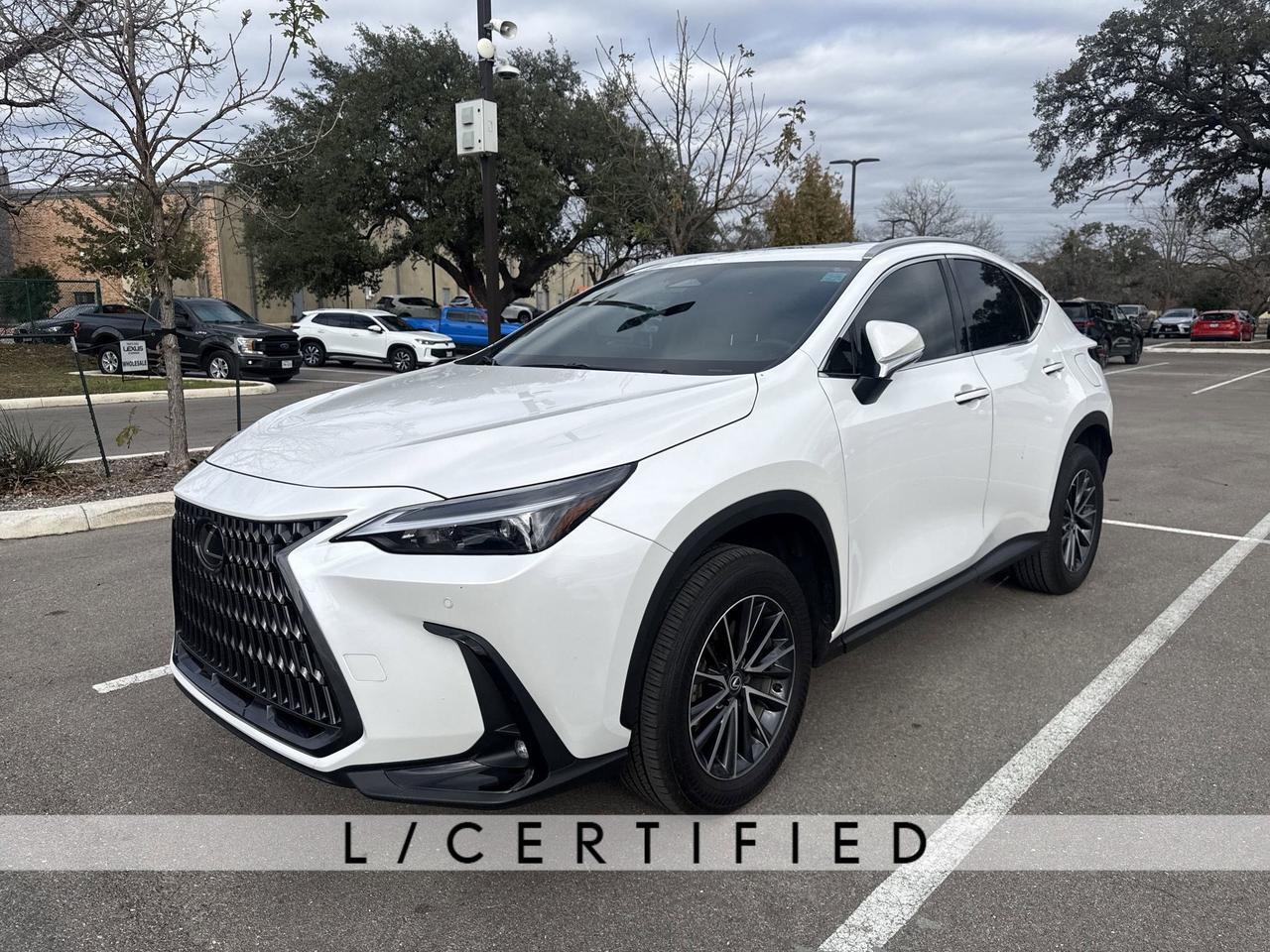 2025 Lexus NX