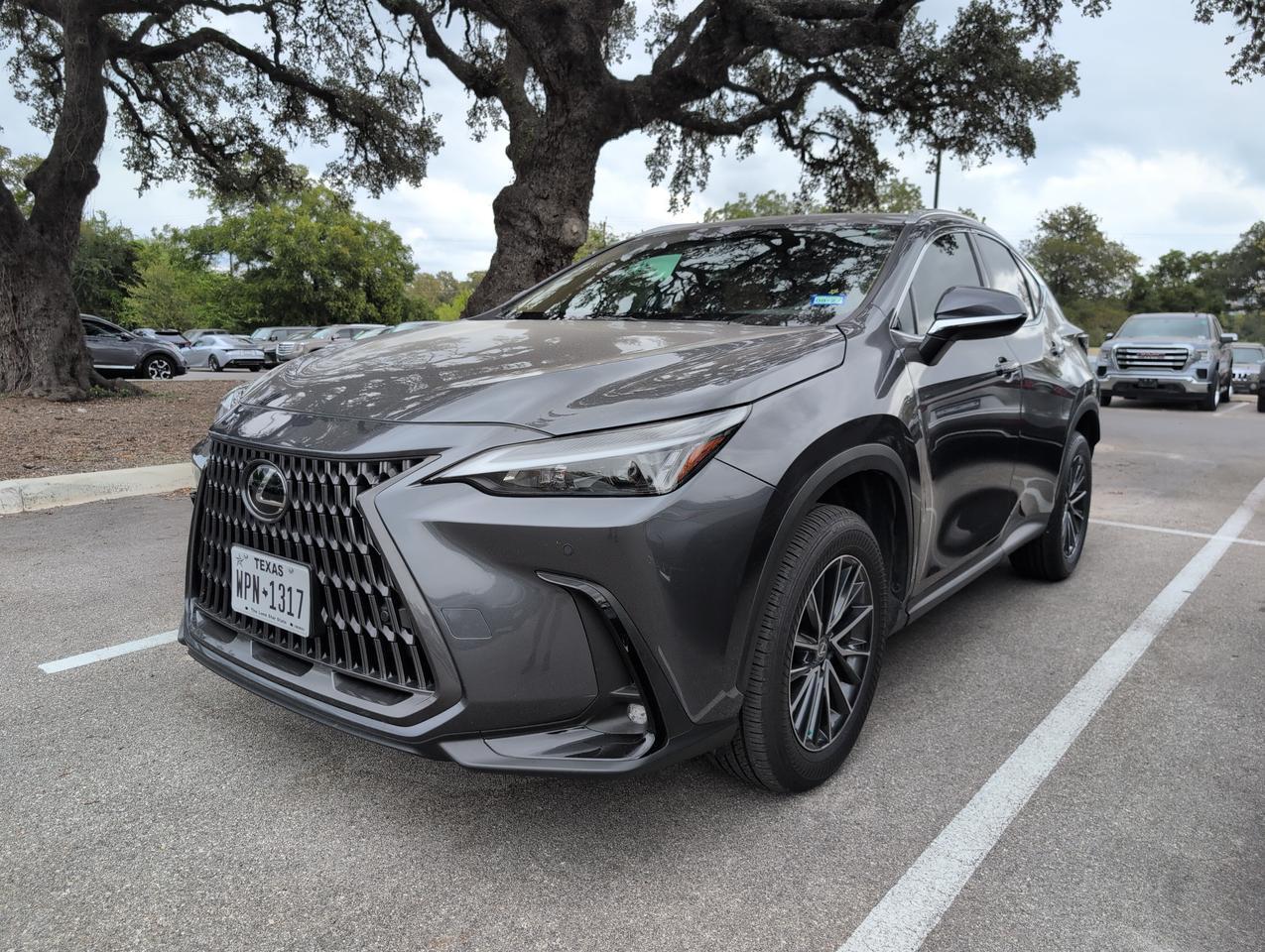 2025 Lexus NX 250 Premium