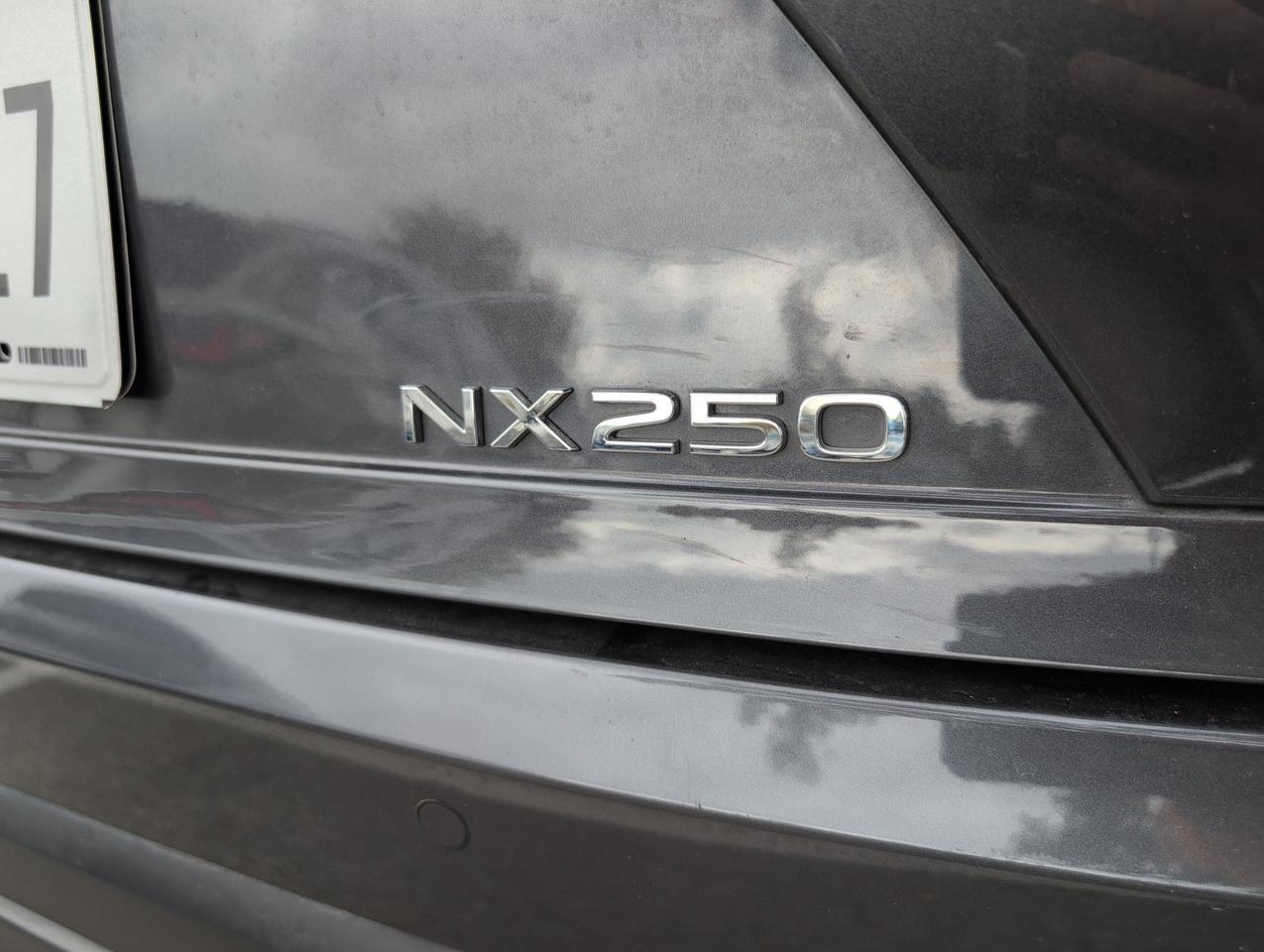 2025 Lexus NX 250 Premium San Antonio TX