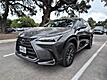 2025 Lexus NX 250 Premium