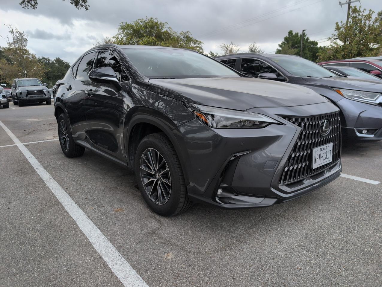 2025 Lexus NX 250 Premium