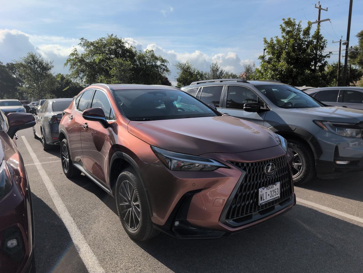 2025 Lexus NX 250 Premium