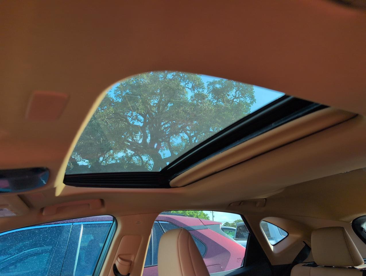 2025 Lexus NX 250 Premium San Antonio TX